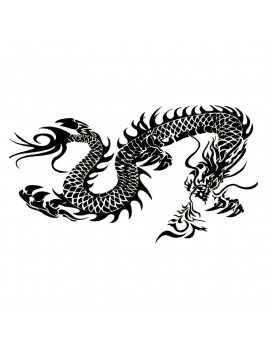 Tatouages Henna - DRAGON - 2