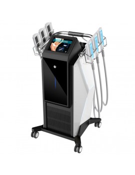 CRYOLIPOLYSE-EMS -  6 paddles