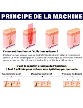 LASER DIODE 1600 Portatif -...
