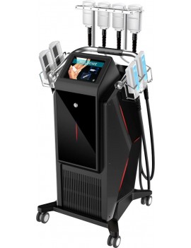 ICE SCULPT EMS 6 + ONDES DE CHOC  -  6 paddles