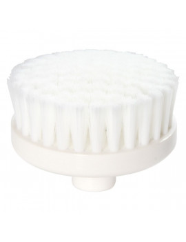 Brosse Visage et Corps