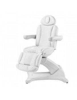 Fauteuil Electrique 3 Moteurs