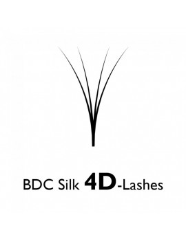 SILK W-LASHES C-CURL 4D MIX BOX 0.07 X 8 - 14 MM