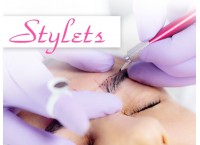 Stylets
